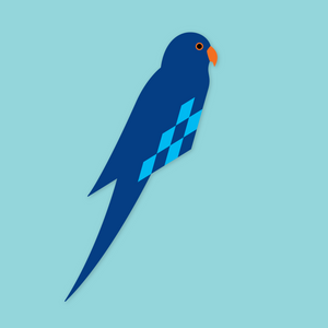 Parakeet (blue)