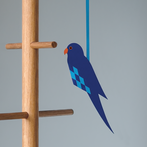 Parakeet (blue)