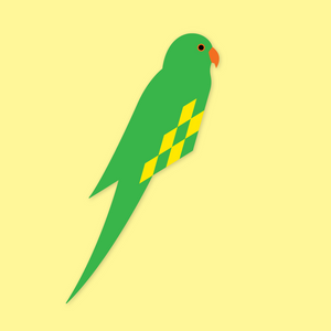Parakit - Flettede Fugle